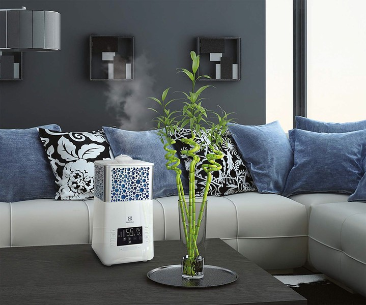 Humidificateur-purificateur: comment choisir pour la maison, classement des modèles et fabricants populaires