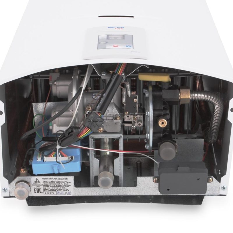 Avis sur les geysers Neva