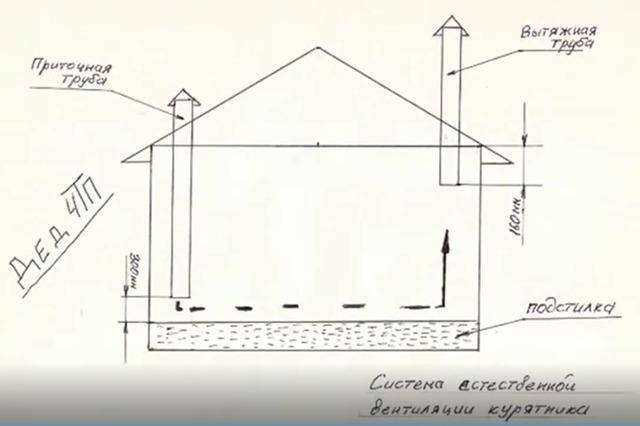 Ventilation à faire soi-même dans un poulailler en hiver: un aperçu des meilleurs schémas et nuances d'aménagement