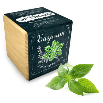 7 gadgets étranges pour la maison