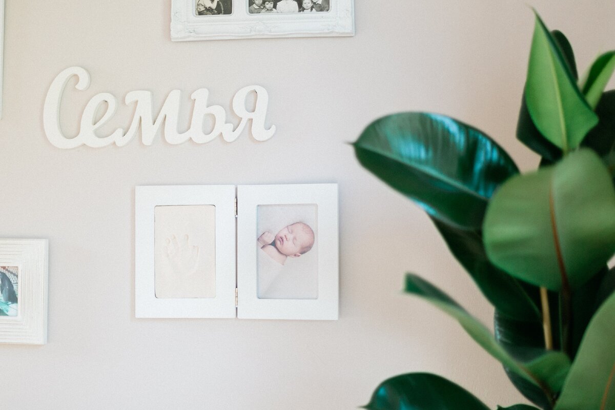 20 choses dans votre maison qui attirent la chance et 10 choses qui la repoussent :: infoniak