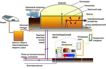 Biocarburant pour une cheminée: types de biocarburant, ses propriétés + comment choisir et comment le faire soi-même