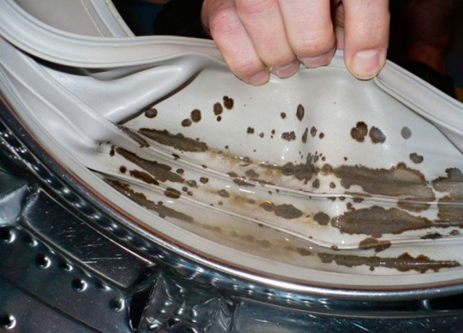 Moisissure dans la machine à laver : comment s'en débarrasser à la maison