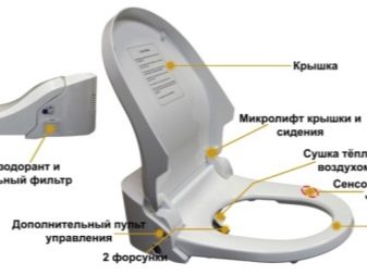 WC avec fonction bidet : critères de sélection + aperçu des modèles populaires