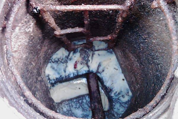 Quel est le meilleur remède contre les fosses d'aisance : un aperçu des bactéries vivantes, des antiseptiques et de la chimie