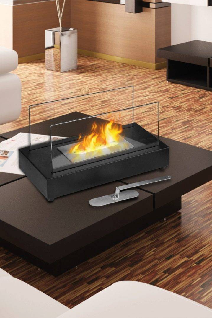 Biocarburant pour une cheminée: types de biocarburant, ses propriétés + comment choisir et comment le faire soi-même