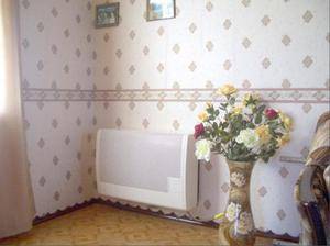 Convecteurs à gaz de chauffage : lignes directrices pour choisir la meilleure variété et la meilleure marque