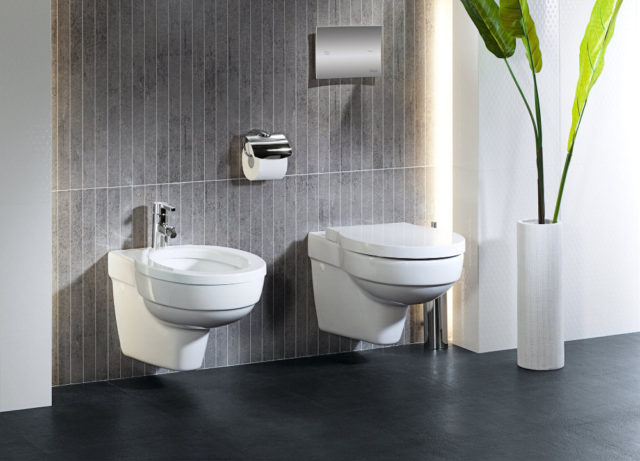 Comment choisir la bonne toilette: ce qu'il faut rechercher avant d'acheter + examen des fabricants