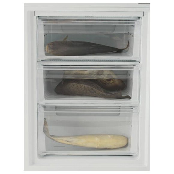 Réfrigérateurs dexp : aperçu des modèles