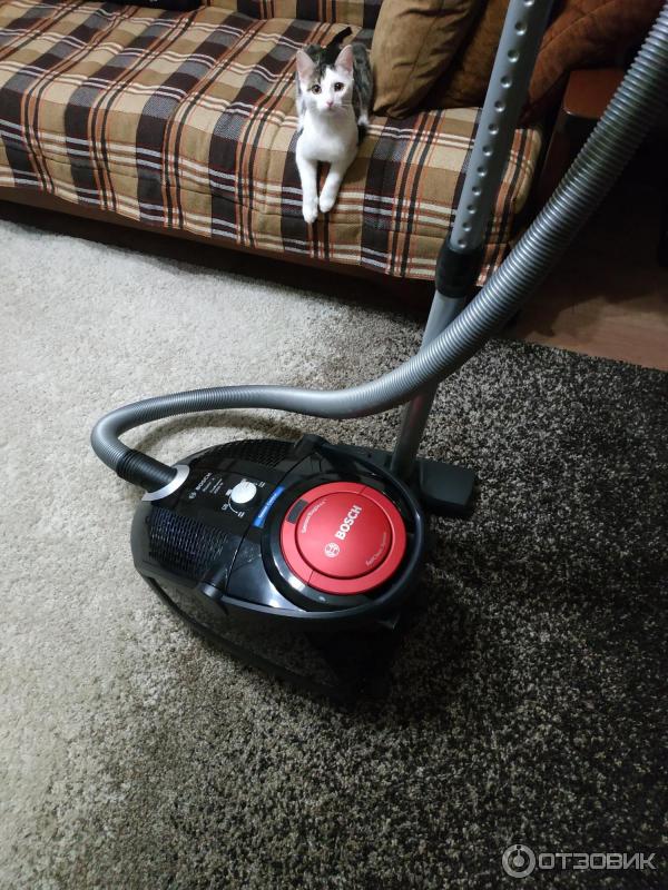 Aspirateurs Bosch avec bac à poussière : avis clients, lavage, manuel, maison professionnel, vadrouille, bleu, filtre à eau, bleu, type cyclone