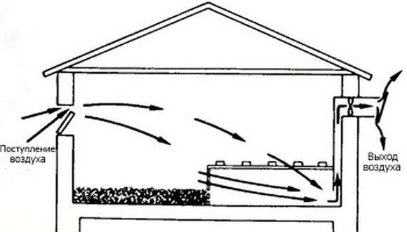 Ventilation à faire soi-même dans un poulailler en hiver: un aperçu des meilleurs schémas et nuances d'aménagement