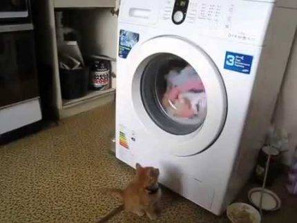 Comment ouvrir une machine à laver si elle est verrouillée : un guide de réparation