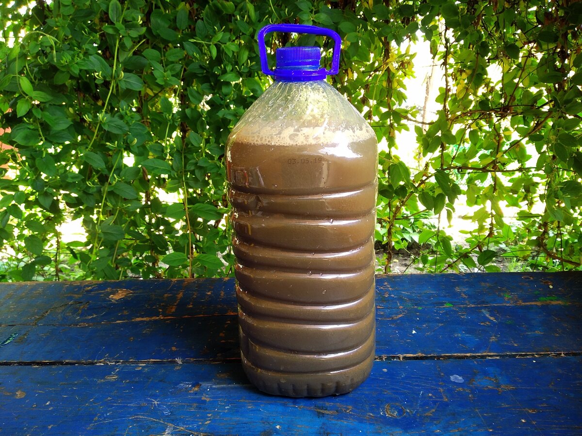 L'odeur des égouts dans l'appartement: moyens de résoudre le problème