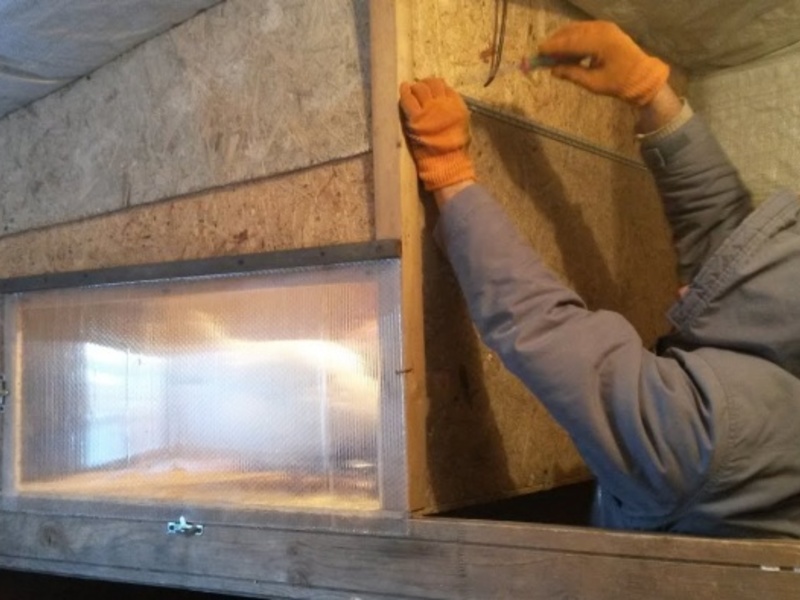 Comment isoler un poulailler