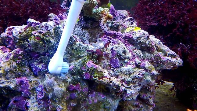 10 façons non conventionnelles d'utiliser une vieille brosse à dents