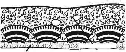 Nous faisons un puits de nos propres mains