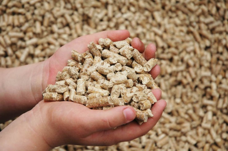 Tout savoir sur les pellets : règles de production, normes et méthodes de contrôle qualité