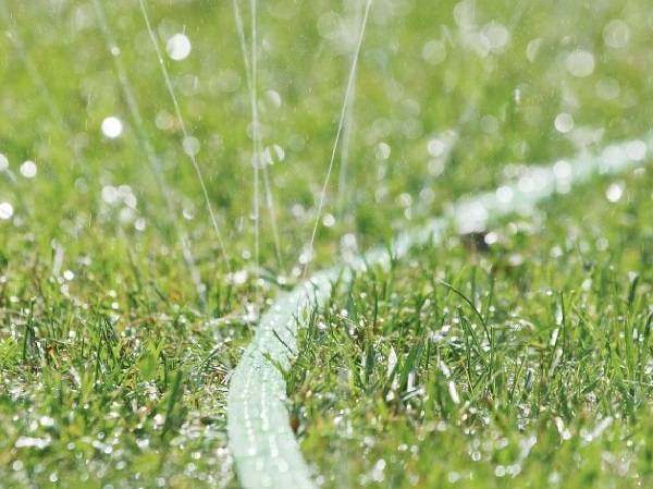 Choisir une pompe d'irrigation goutte à goutte