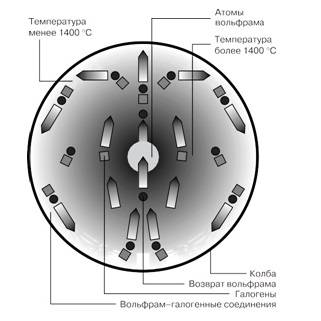 Types, caractéristiques et conseils pour choisir les lampes halogènes