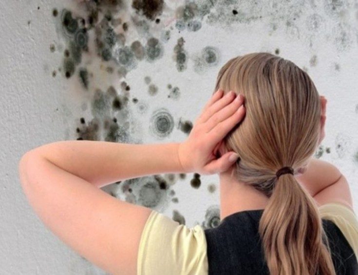 7 endroits les plus poussiéreux de la maison qui doivent être nettoyés en premier