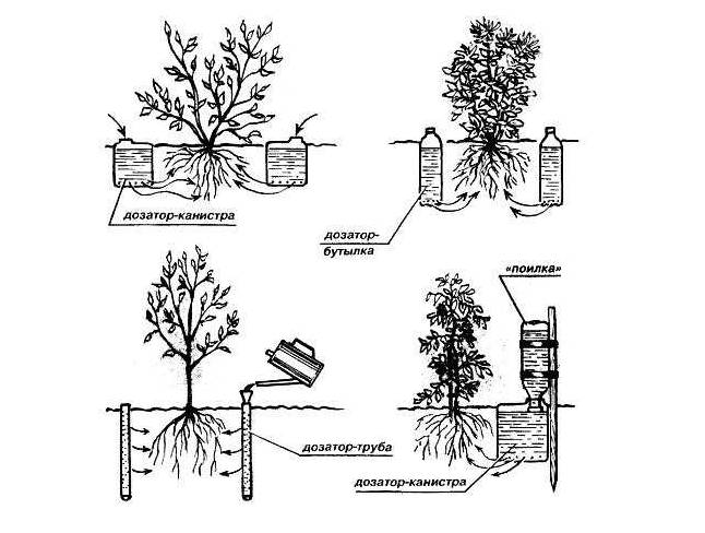 Tuyau pour irrigation goutte à goutte: sur quoi se concentrer lors du choix + règles pour travailler avec