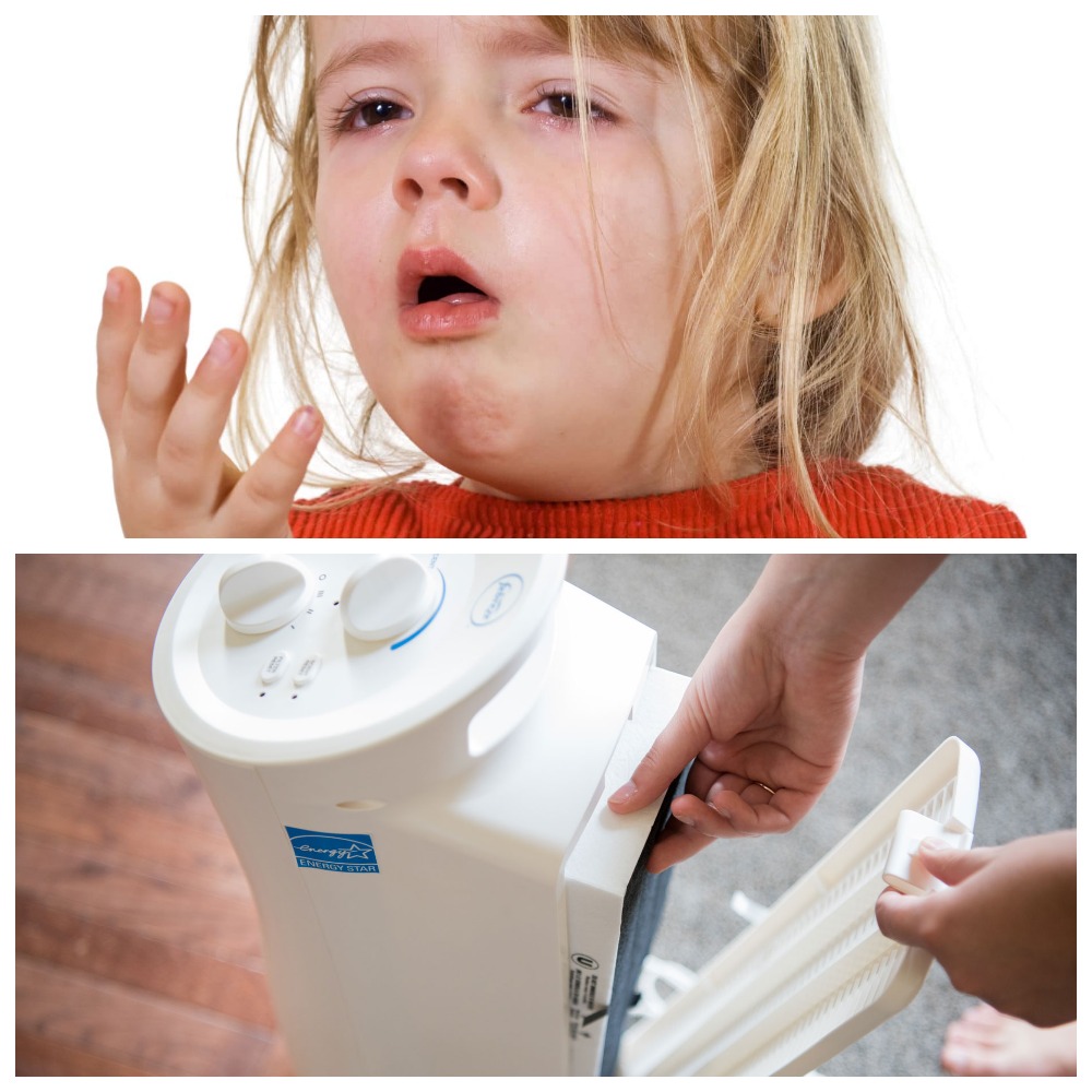 Combattre les allergies : les 10 meilleurs purificateurs d'air