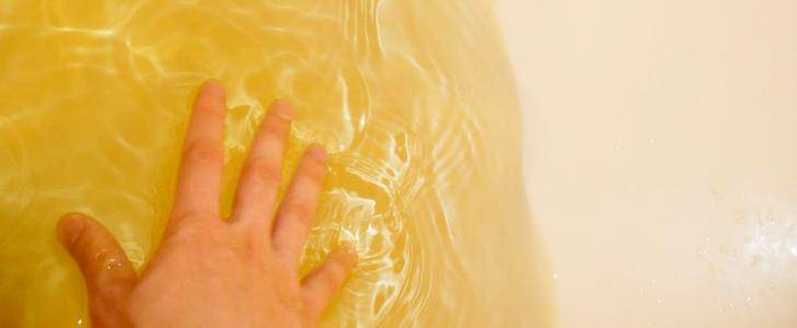 Pourquoi l'eau est-elle devenue trouble lors du démarrage de l'aquarium et que faire à ce sujet ?