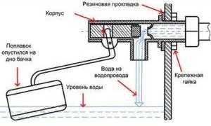 Cuvette de toilette avec fonction bidet: caractéristiques de choix, aperçu des modèles, prix