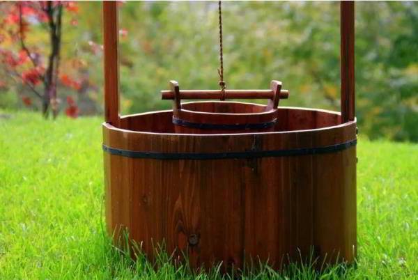 Exemples de conception de puits de campagne