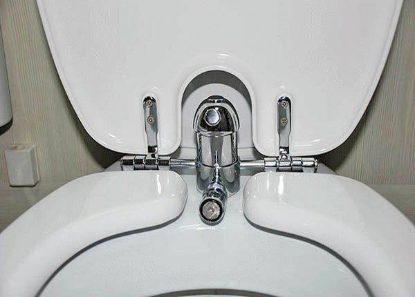 Couvercle de bidet de toilette: types, description du principe de fonctionnement et conseils pour choisir