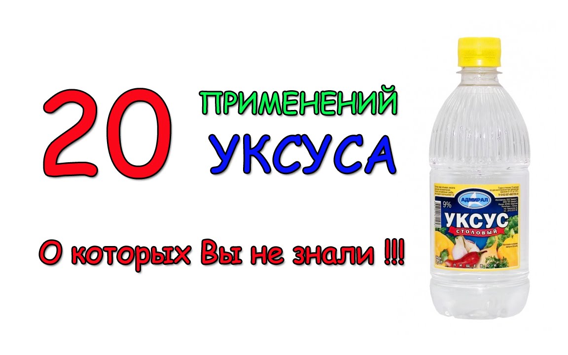 Comment remplacer le vinaigre de cidre de pomme en conserve : 5 meilleures façons et proportions