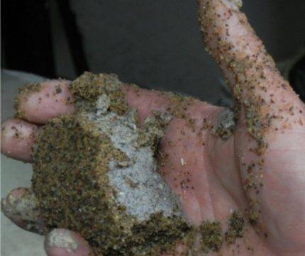 Comment choisir un filtre pour la piscine: types d'unités et règles pour un choix compétent