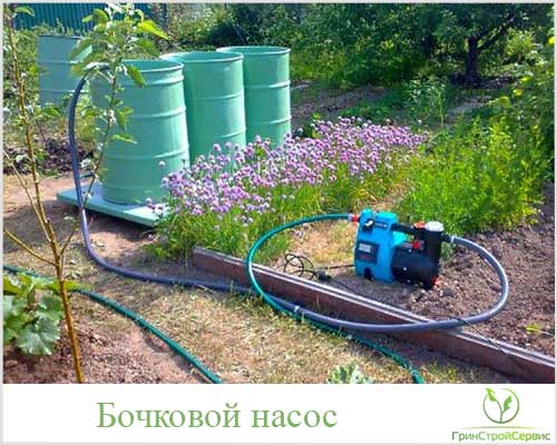 Pompe pour arroser le jardin: caractéristiques, types, choix