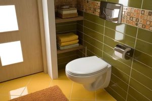 Toilette suspendue avec installation: règles de sélection, avantages et inconvénients d'une telle solution + étapes d'installation