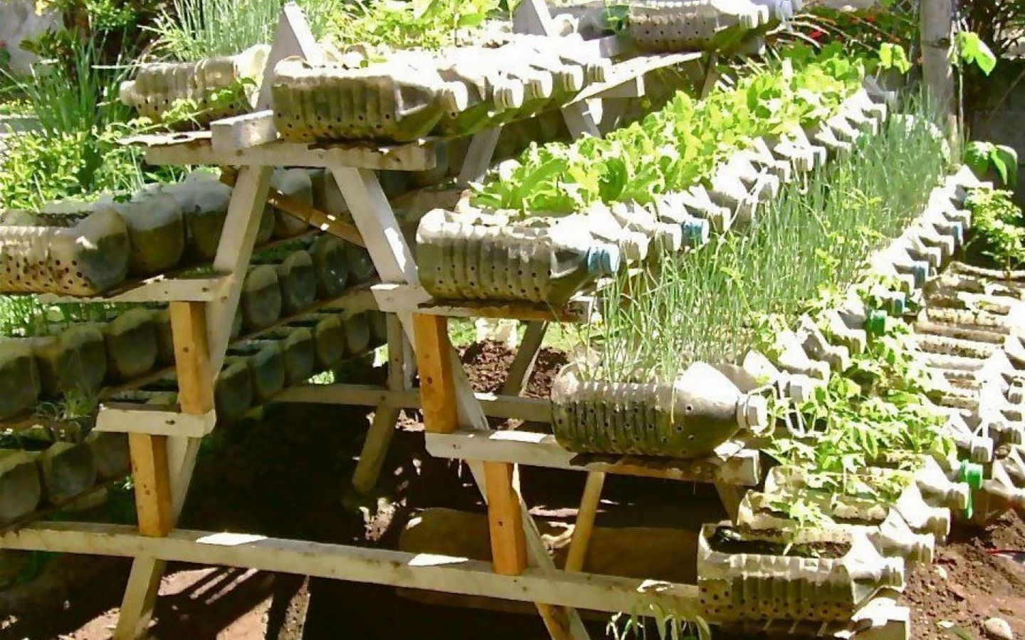 Nous décorons le chalet de nos propres mains - 50 bonnes idées!