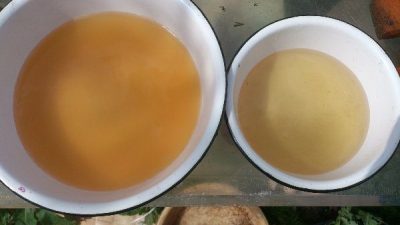 L'eau de l'aquarium est devenue trouble après le lancement : causes et solutions