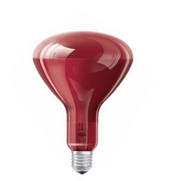 Lampes infrarouges pour le chauffage : chauffage IR et thermique pour locaux d'habitation