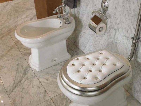 Types de cuvettes de toilettes par caractéristiques techniques et design