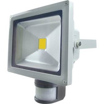 Lampes LED Ecola (Ecola): aperçu de la gamme, avantages et inconvénients, avis des consommateurs