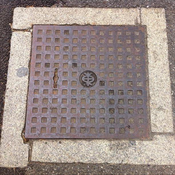 Regards d'égout : un aperçu des types, leurs tailles et leur classification + ce qu'il faut rechercher lors du choix