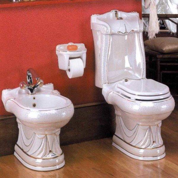 Types de cuvettes de toilettes par caractéristiques techniques et design