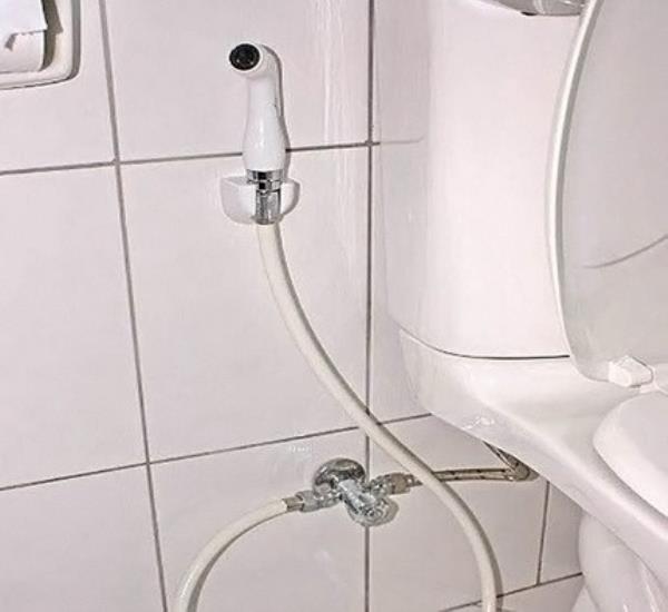 Couvercle de bidet de toilette: types, description du principe de fonctionnement et conseils pour choisir