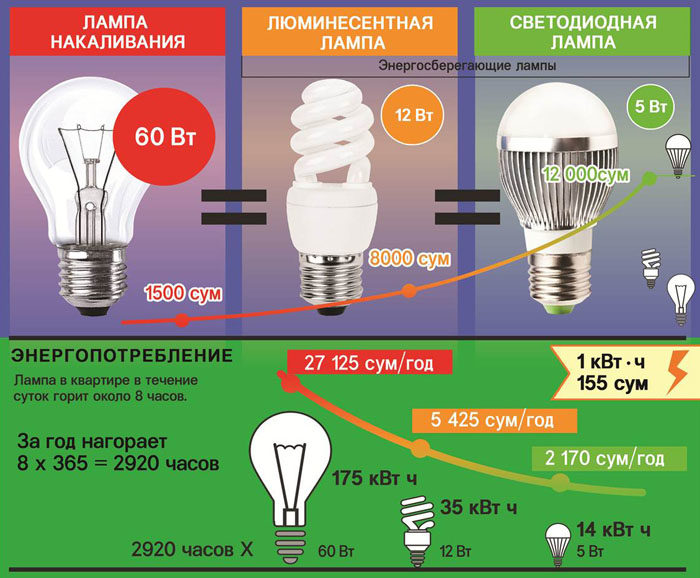Tout sur les lampes à économie d'énergie: types, revue comparative, comment choisir
