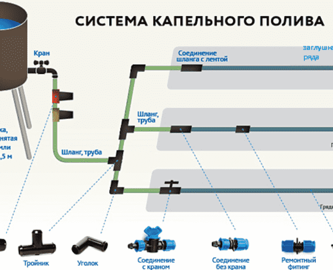 Conditions de serre: comment installer de vos propres mains un système d'irrigation automatique dans une serre