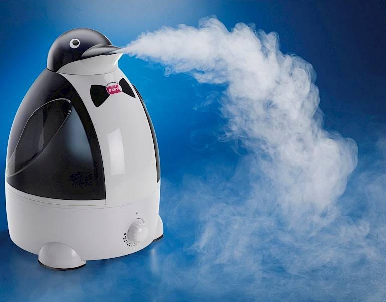 Ai-je besoin d'ionisation dans un humidificateur et les acheteurs devraient-ils surpayer pour une option supplémentaire ?