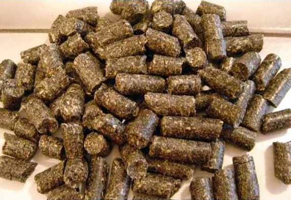 Tout savoir sur les pellets : règles de production, normes et méthodes de contrôle qualité