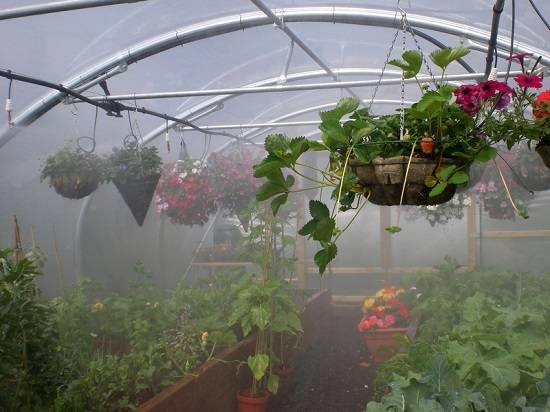Caractéristiques de la sélection d'une pompe pour arroser le jardin, en fonction de la source de prise d'eau
