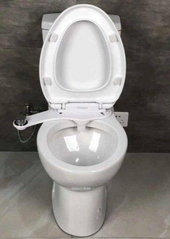Accessoire de bidet pour les toilettes: un aperçu des types d'accessoires de bidet et des méthodes d'installation