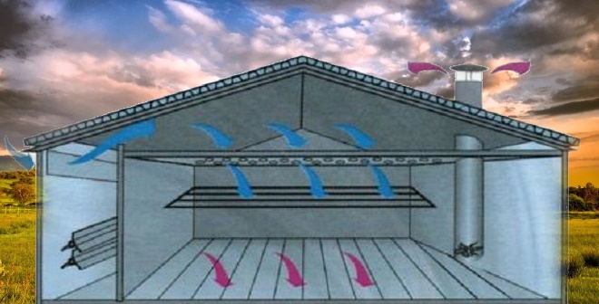 Abris pour animaux et oiseaux: comment construire de vos propres mains