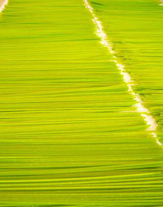 Comment j'ai fabriqué ma propre table à plateau pour économiser de l'argent